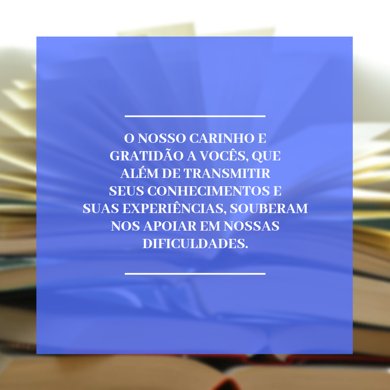 O nosso carinho e gratidão a vocês, que além de transmitir seus conhecimentos e suas experiências, souberam nos apoiar em nossas dificuldades.