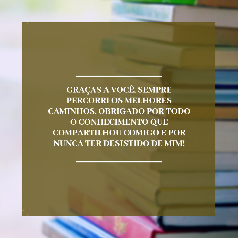 Graças a você, sempre percorri os melhores caminhos. Obrigado por todo o conhecimento que compartilhou comigo e por nunca ter desistido de mim!