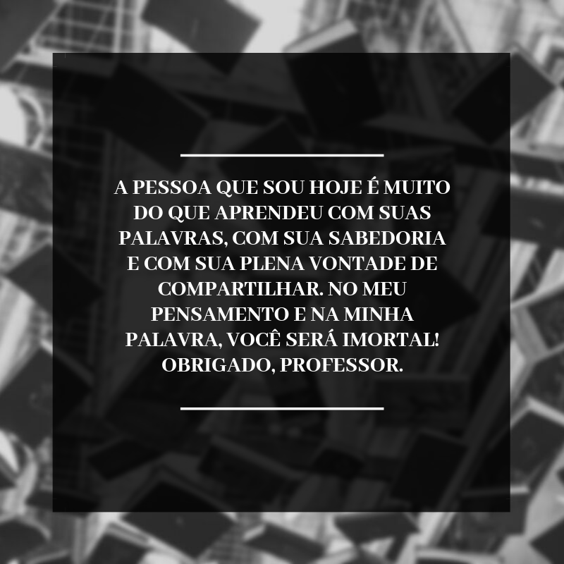 A pessoa que sou hoje é muito do que aprendeu com suas palavras, com sua sabedoria e com sua plena vontade de compartilhar. No meu pensamento e na minha palavra, você será imortal! Obrigado, professor.