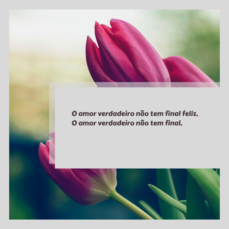 O amor verdadeiro não tem final feliz. O amor verdadeiro não tem final.