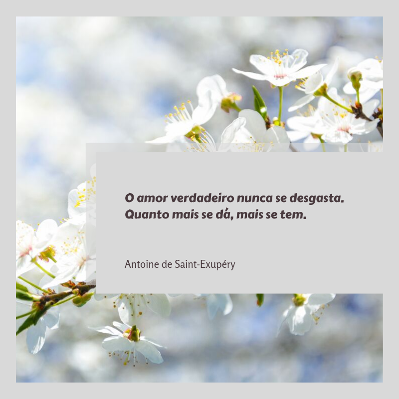 O amor verdadeiro nunca se desgasta. Quanto mais se dá, mais se tem. 