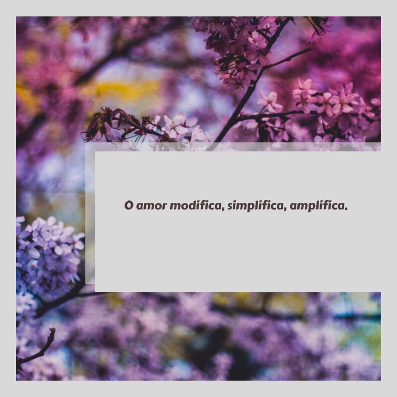 O amor modifica, simplifica, amplifica.