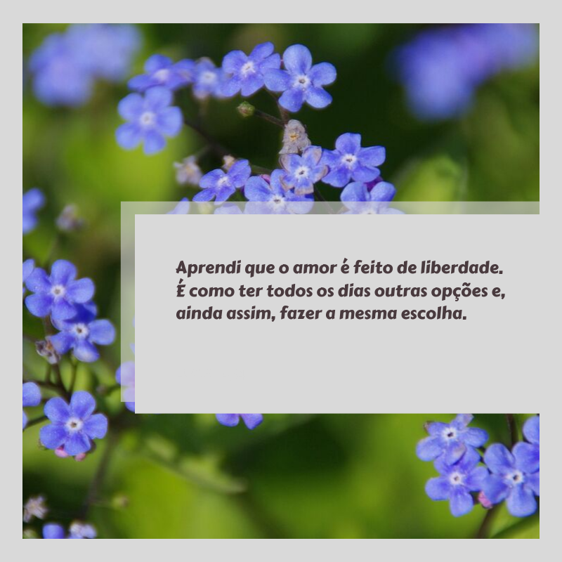 Aprendi que o amor é feito de liberdade. É como ter todos os dias outras opções e, ainda assim, fazer a mesma escolha.