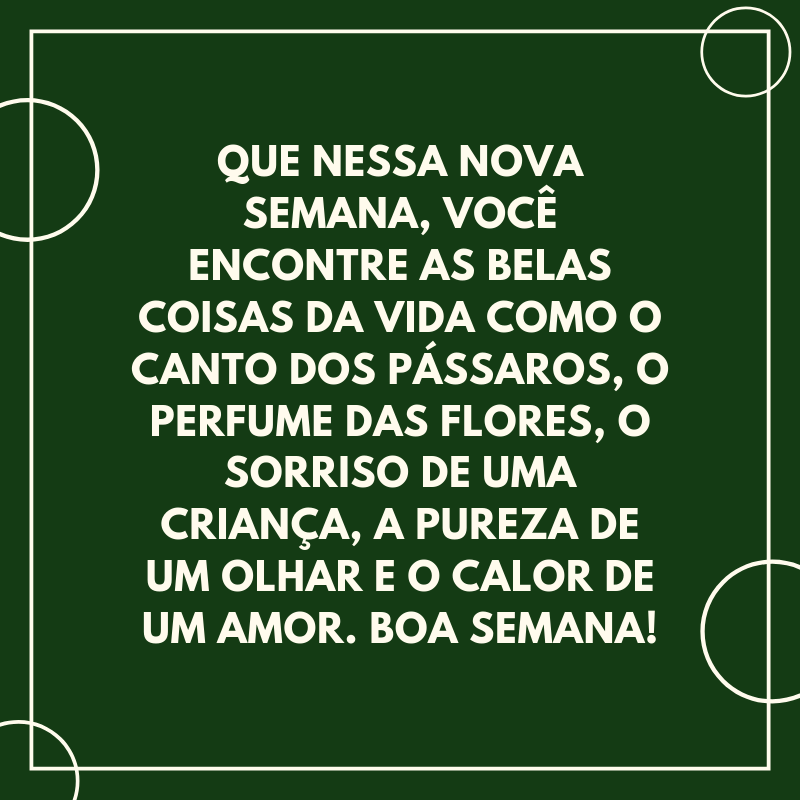 Que nessa nova semana, você encontre as belas coisas da vida como o canto dos pássaros, o perfume das flores, o sorriso de uma criança, a pureza de um olhar e o calor de um amor. Boa semana!