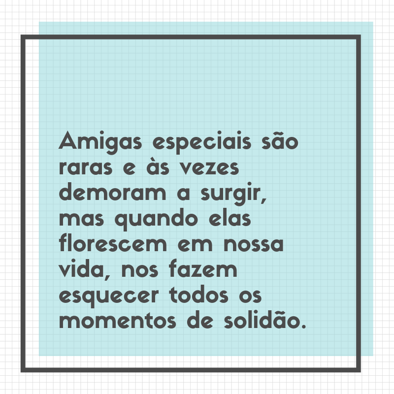 Amigas especiais são raras e às vezes demoram a surgir, mas quando elas florescem em nossa vida, nos fazem esquecer todos os momentos de solidão.