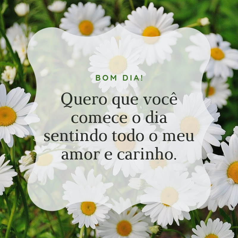 Bom dia! Quero que você comece o dia sentindo todo o meu amor e carinho.