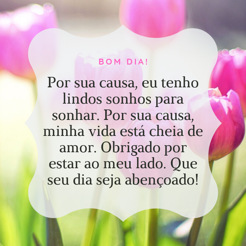 Bom dia! Por sua causa, eu tenho lindos sonhos para sonhar. Por sua causa, minha vida está cheia de amor. Obrigado por estar ao meu lado. Que seu dia seja abençoado!