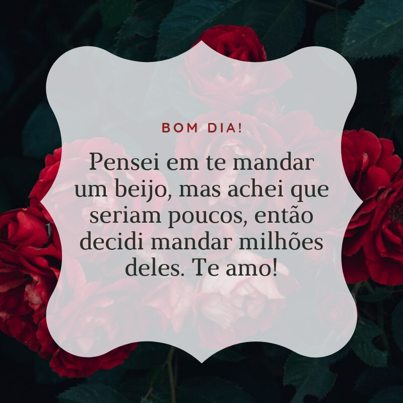 Bom dia! Pensei em te mandar um beijo, mas achei que seriam poucos, então decidi mandar milhões deles. Te amo!