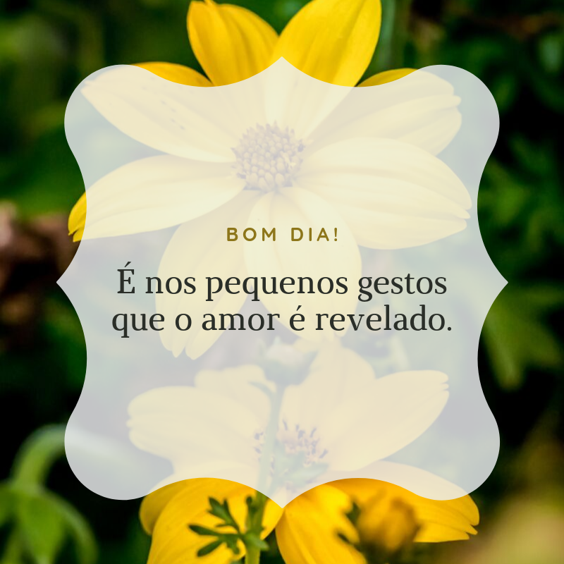 Bom dia! É nos pequenos gestos que o amor é revelado.