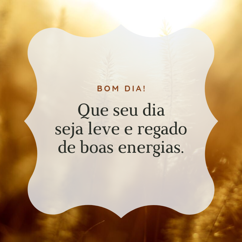 Bom dia! Que seu dia seja leve e regado de boas energias.