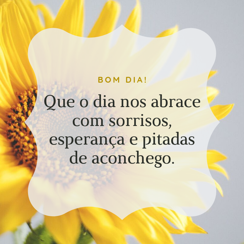 Bom dia! Que o dia nos abrace com sorrisos, esperança e pitadas de aconchego.