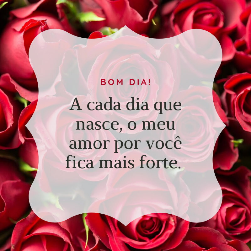 Bom dia! A cada dia que nasce, o meu amor por você fica mais forte. 