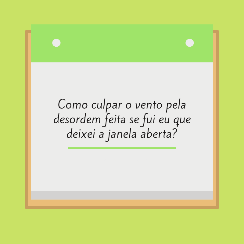 Como culpar o vento pela desordem feita se fui eu que deixei a janela aberta?