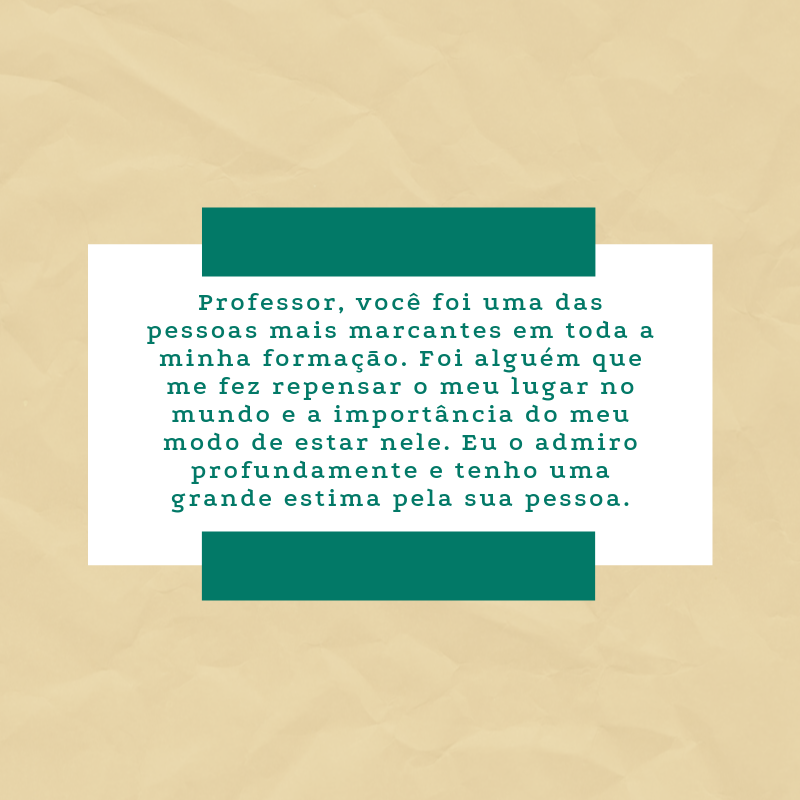 Professor, você foi uma das pessoas mais marcantes em toda a minha formação. Foi alguém que me fez repensar o meu lugar no mundo e a importância do meu modo de estar nele. Eu o admiro profundamente e tenho uma grande estima pela sua pessoa.