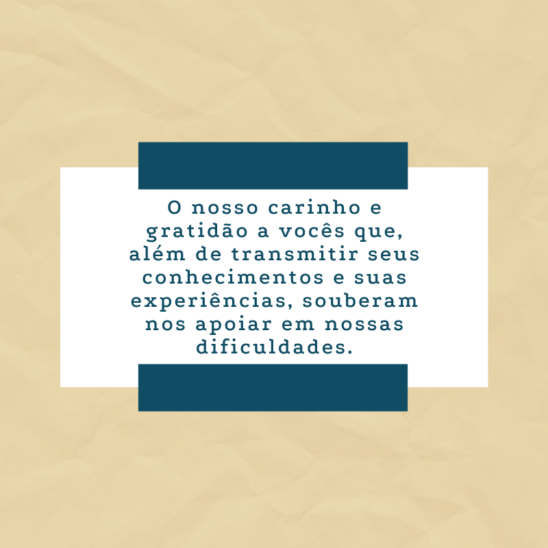 O nosso carinho e gratidão a vocês que, além de transmitir seus conhecimentos e suas experiências, souberam nos apoiar em nossas dificuldades.