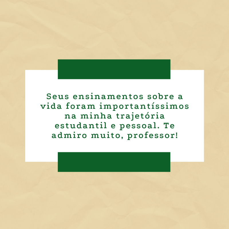 Seus ensinamentos sobre a vida foram importantíssimos na minha trajetória estudantil e pessoal. Te admiro muito, professor!