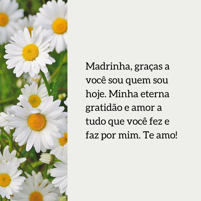 Madrinha, graças a você sou quem sou hoje. Minha eterna gratidão e amor a tudo que você fez e faz por mim. Te amo!