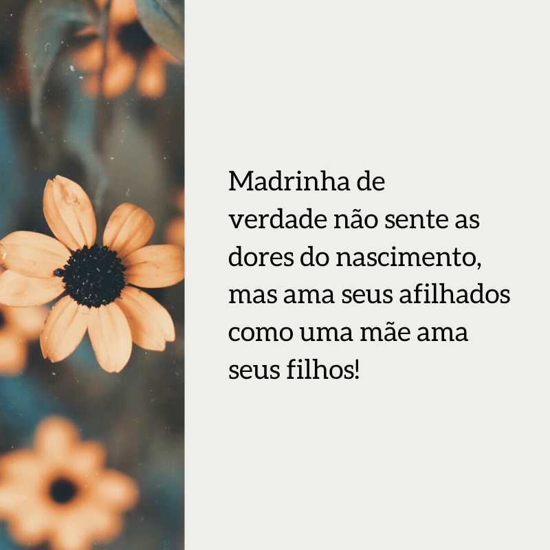 Madrinha de verdade não sente as dores do nascimento, mas ama seus afilhados como uma mãe ama seus filhos!