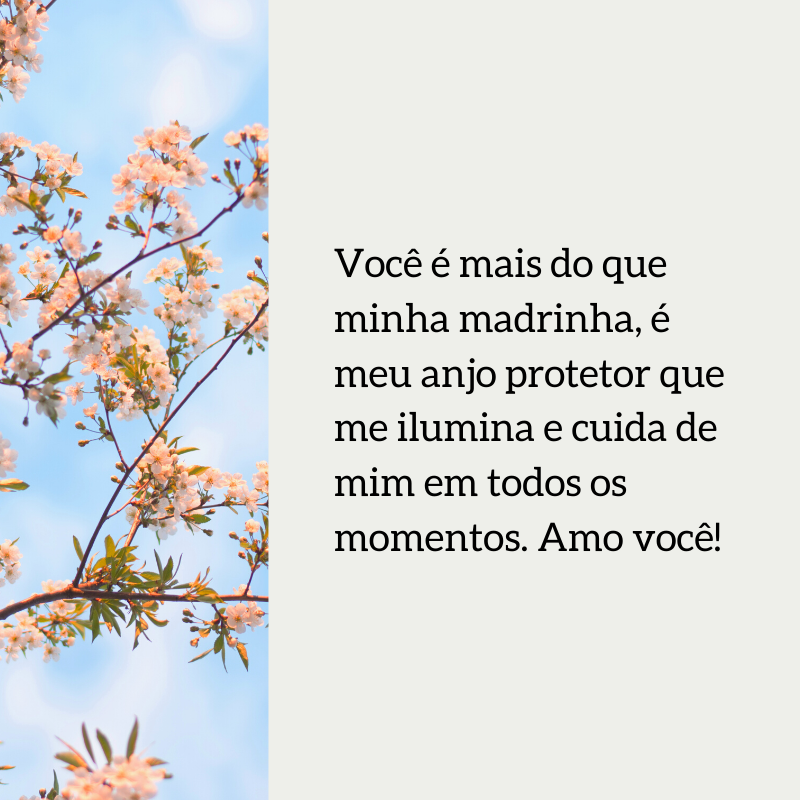 Você é mais do que minha madrinha, é meu anjo protetor que me ilumina e cuida de mim em todos os momentos. Amo você!