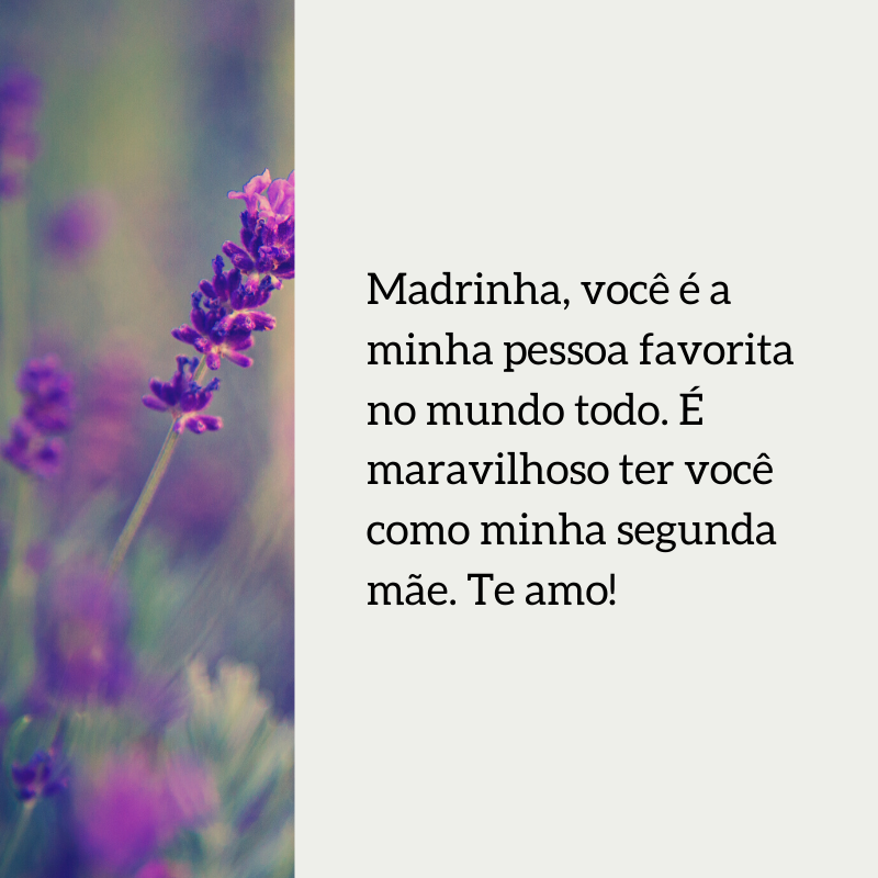 Madrinha, você é a minha pessoa favorita no mundo todo. É maravilhoso ter você como minha segunda mãe. Te amo!