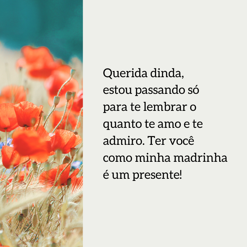 Querida dinda, estou passando só para te lembrar o quanto te amo e te admiro. Ter você como minha madrinha é um presente!