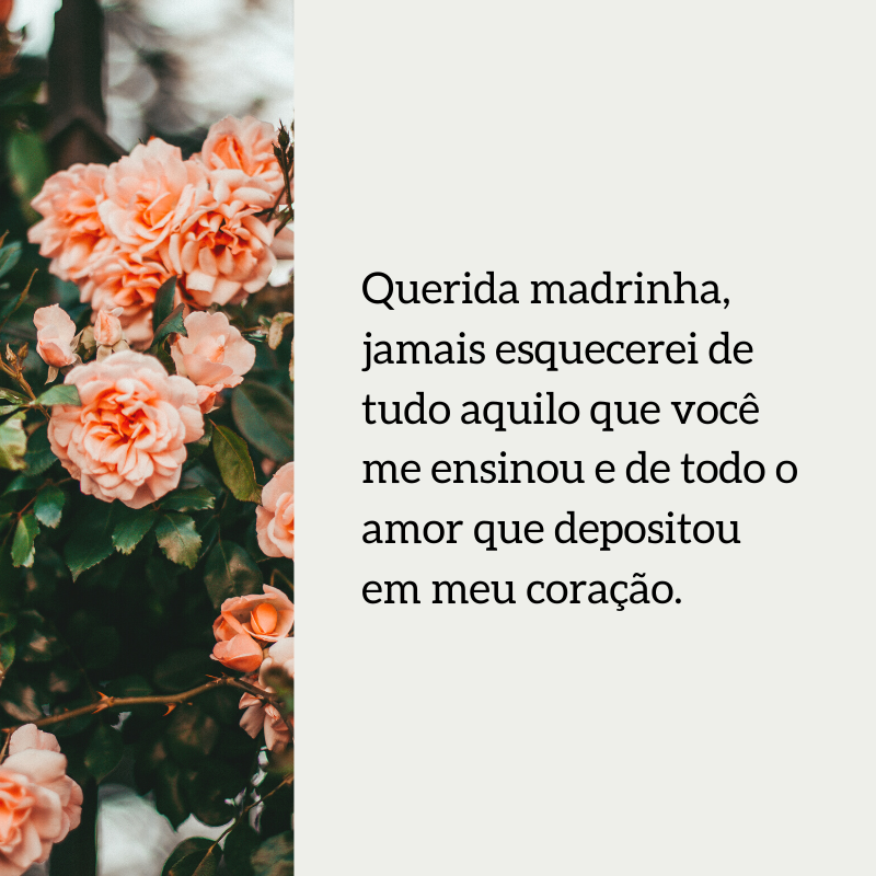 Querida madrinha, jamais esquecerei de tudo aquilo que você me ensinou e de todo o amor que depositou em meu coração.