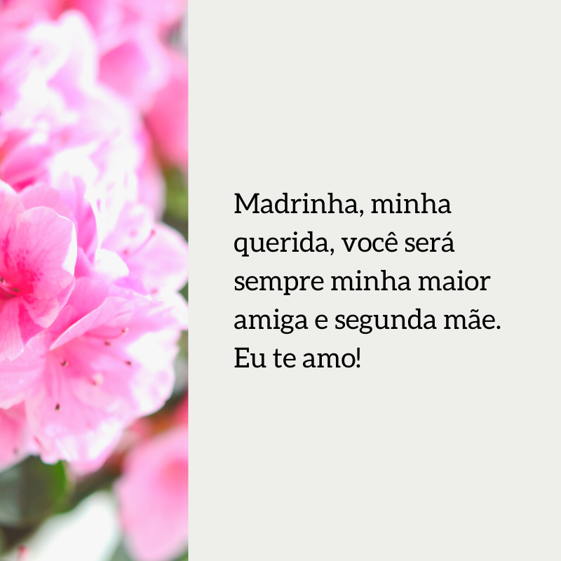 Madrinha, minha querida, você será sempre minha maior amiga e segunda mãe. Eu te amo!