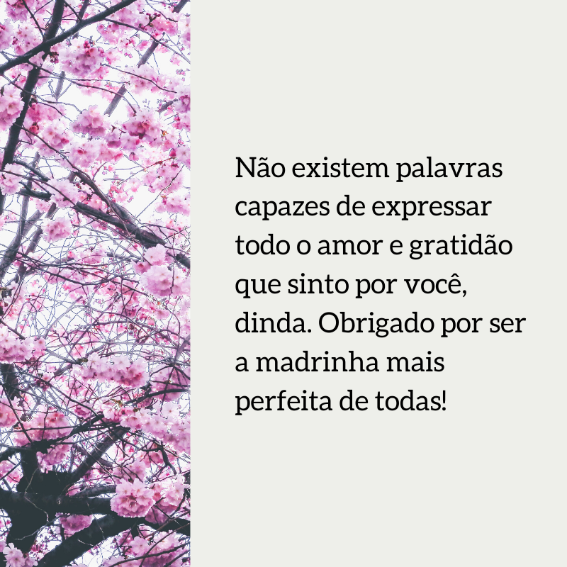 Não existem palavras capazes de expressar todo o amor e gratidão que sinto por você, dinda. Obrigado por ser a madrinha mais perfeita de todas!