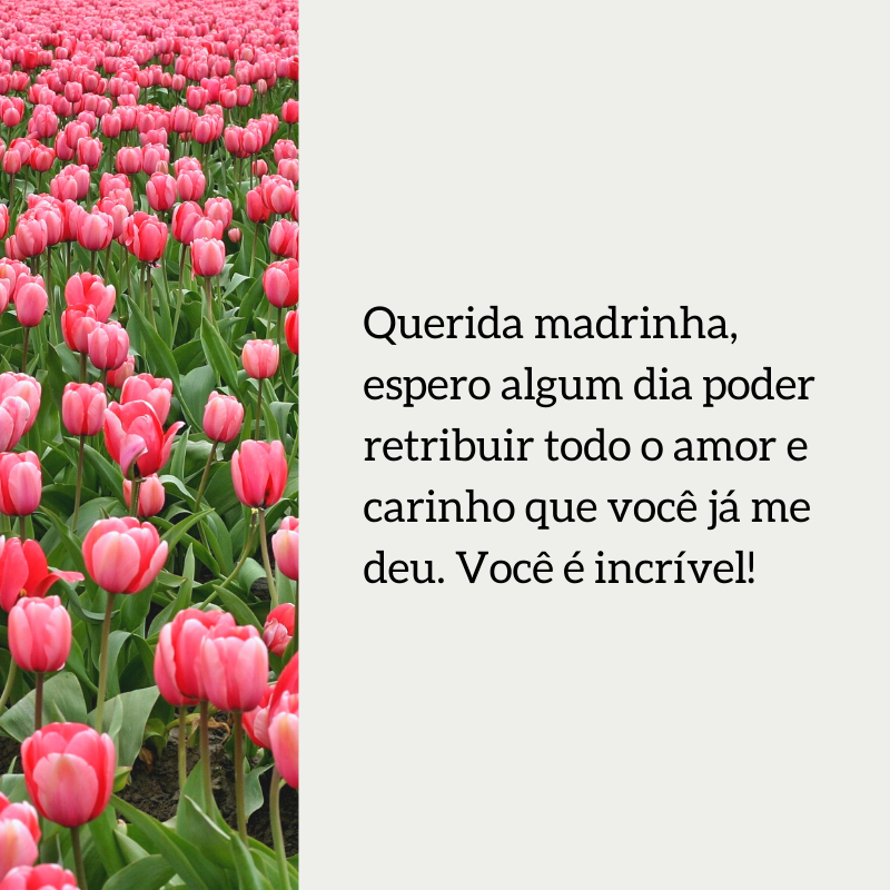 Querida madrinha, espero algum dia poder retribuir todo o amor e carinho que você já me deu. Você é incrível!