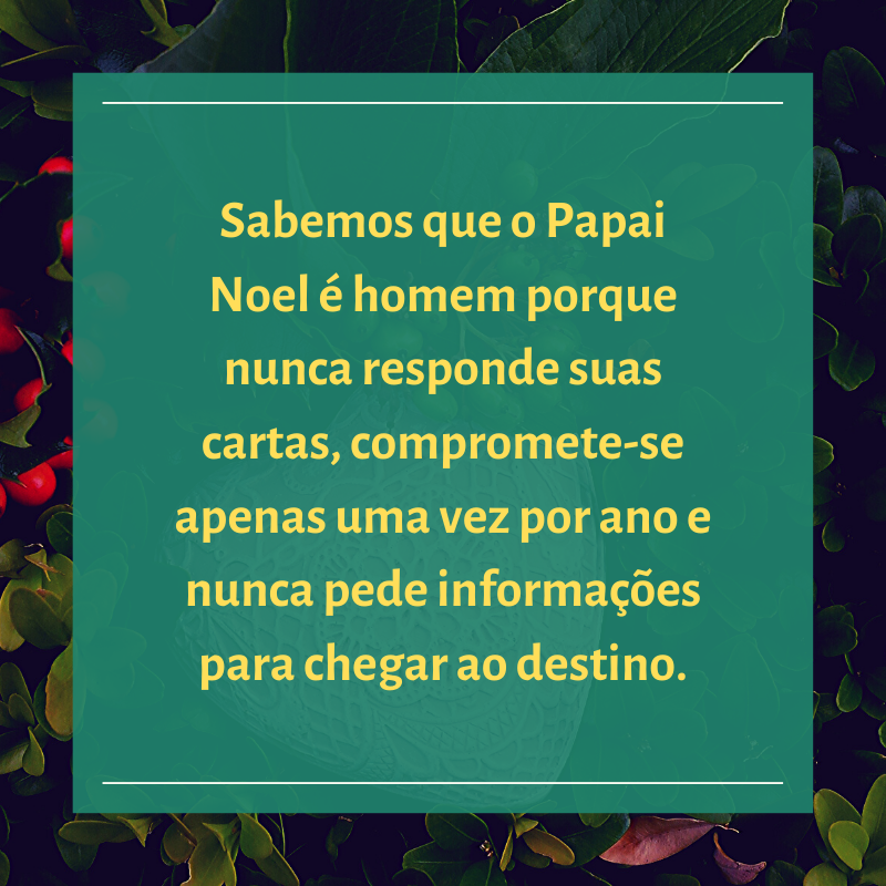 Sabemos que o Papai Noel é homem porque nunca responde suas cartas, compromete-se apenas uma vez por ano e nunca pede informações para chegar ao destino.