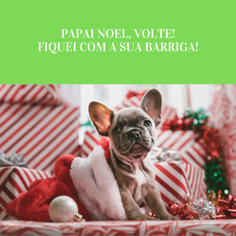 Papai Noel, volte! Fiquei com a sua barriga!