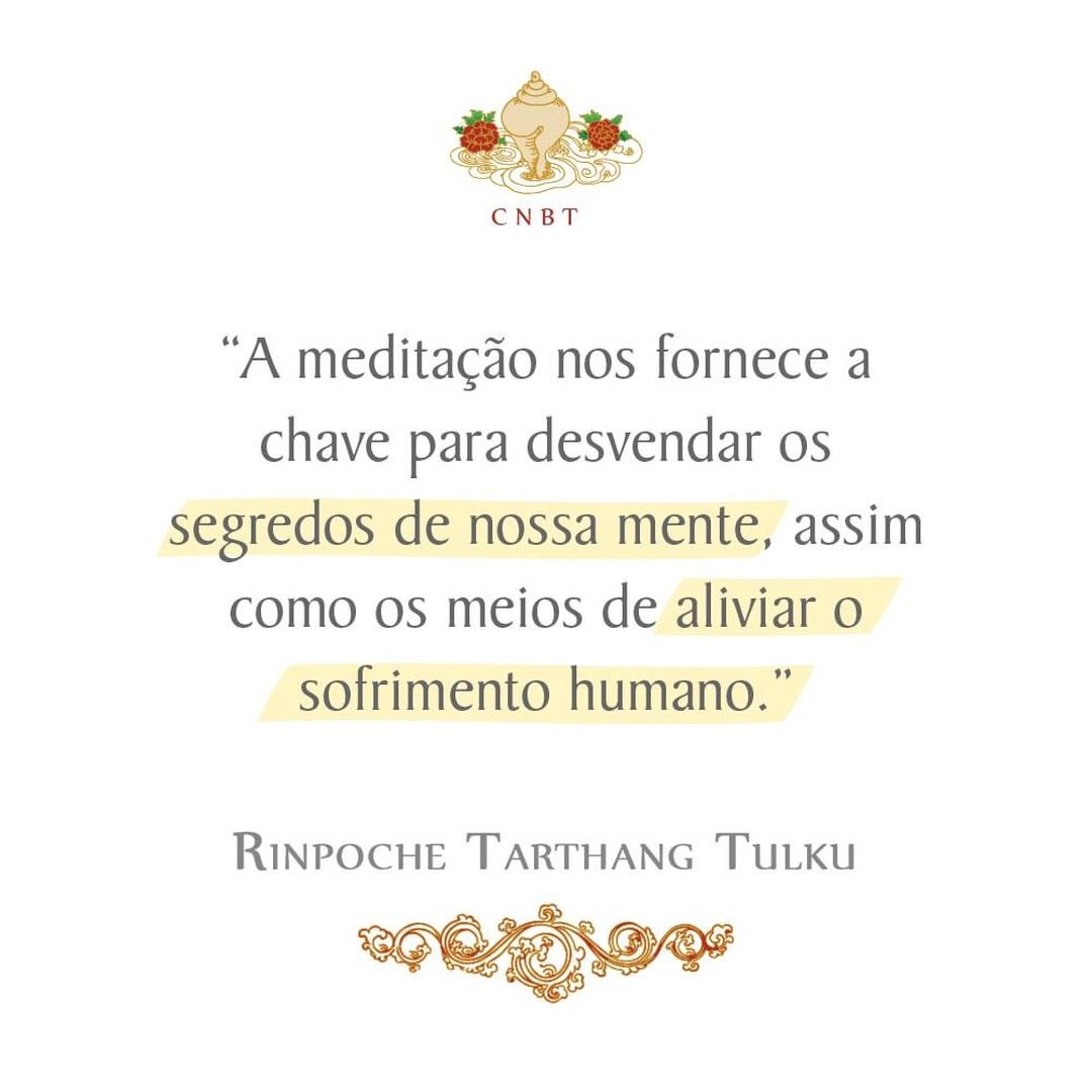 A meditação nos fornece a chave para desvendar os segredos de nossa mente, assim como os meios de aliviar o sofrimento humano. 