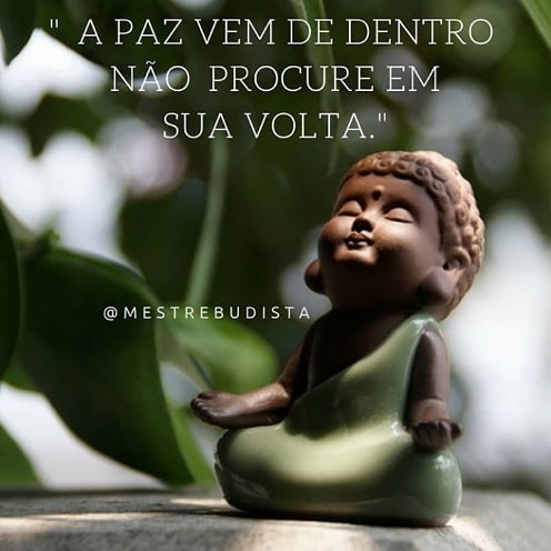 A paz vem de dentro. Não procure em sua volta. 