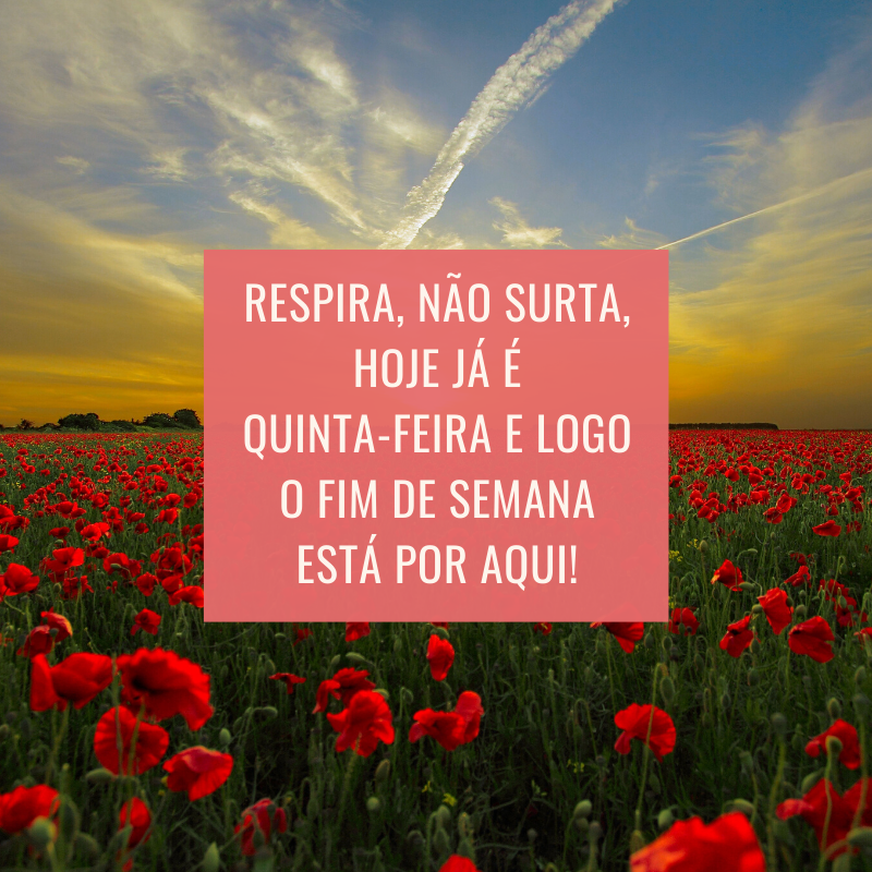 Respira, não surta, hoje já é quinta-feira e logo o fim de semana está por aqui!