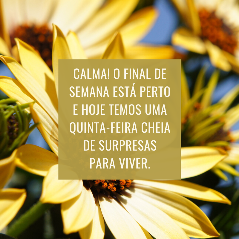 Calma! O final de semana está perto e hoje temos uma quinta-feira cheia de surpresas para viver.