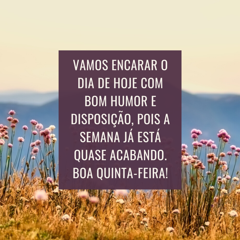 Vamos encarar o dia de hoje com bom humor e disposição, pois a semana já está quase acabando. Boa quinta-feira!