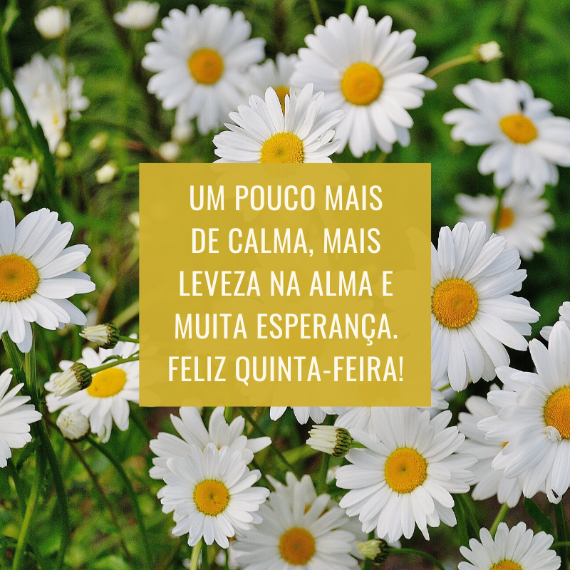 Um pouco mais de calma, mais leveza na alma e muita esperança. Feliz quinta-feira!