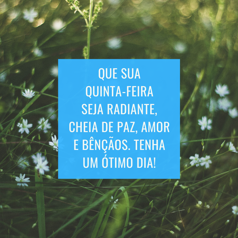 Que sua quinta-feira seja radiante, cheia de paz, amor e bênçãos. Tenha um ótimo dia!