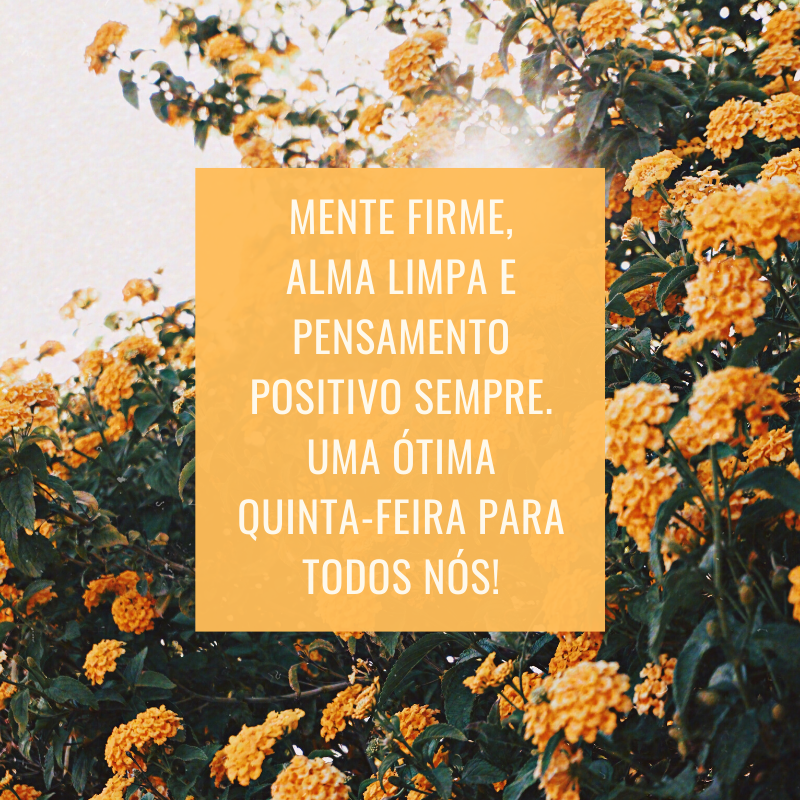 Mente firme, alma limpa e pensamento positivo sempre. Uma ótima quinta-feira para todos nós!