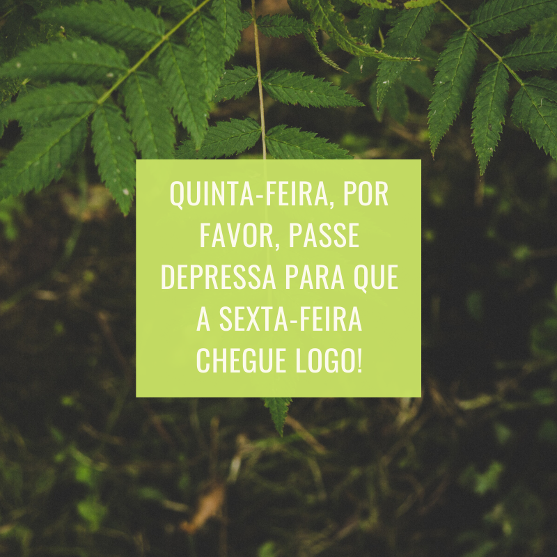 Quinta-feira, por favor, passe depressa para que a sexta-feira chegue logo!