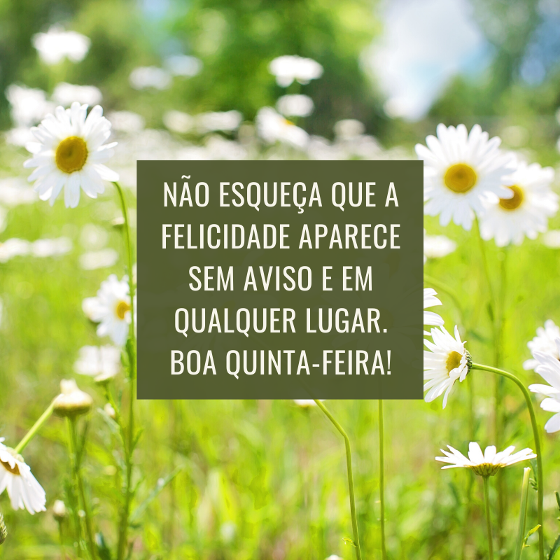 Não esqueça que a felicidade aparece sem aviso e em qualquer lugar. Boa quinta-feira!