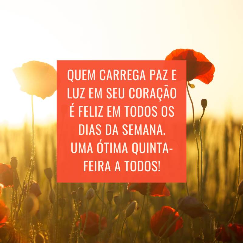 Quem carrega paz e luz em seu coração é feliz em todos os dias da semana. Uma ótima quinta-feira a todos!