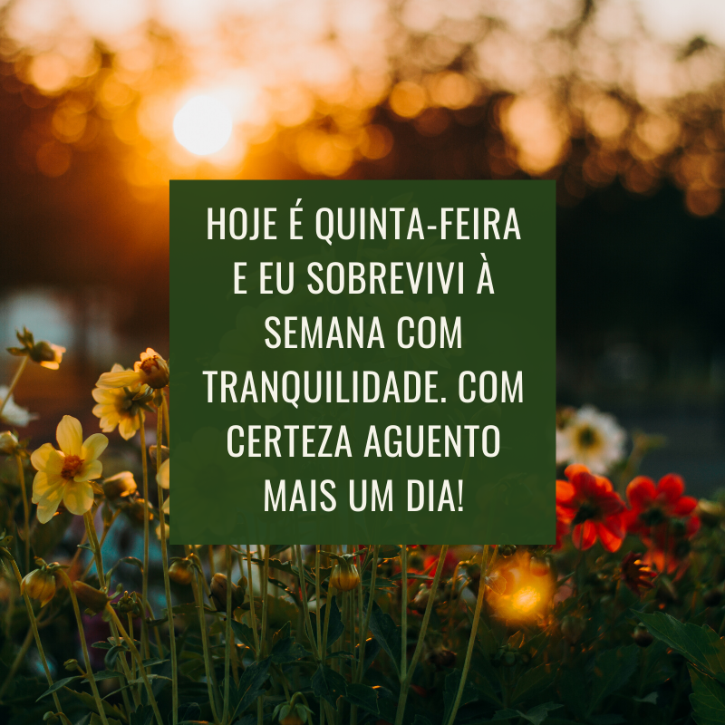 Hoje é quinta-feira e eu sobrevivi à semana com tranquilidade. Com certeza aguento mais um dia!