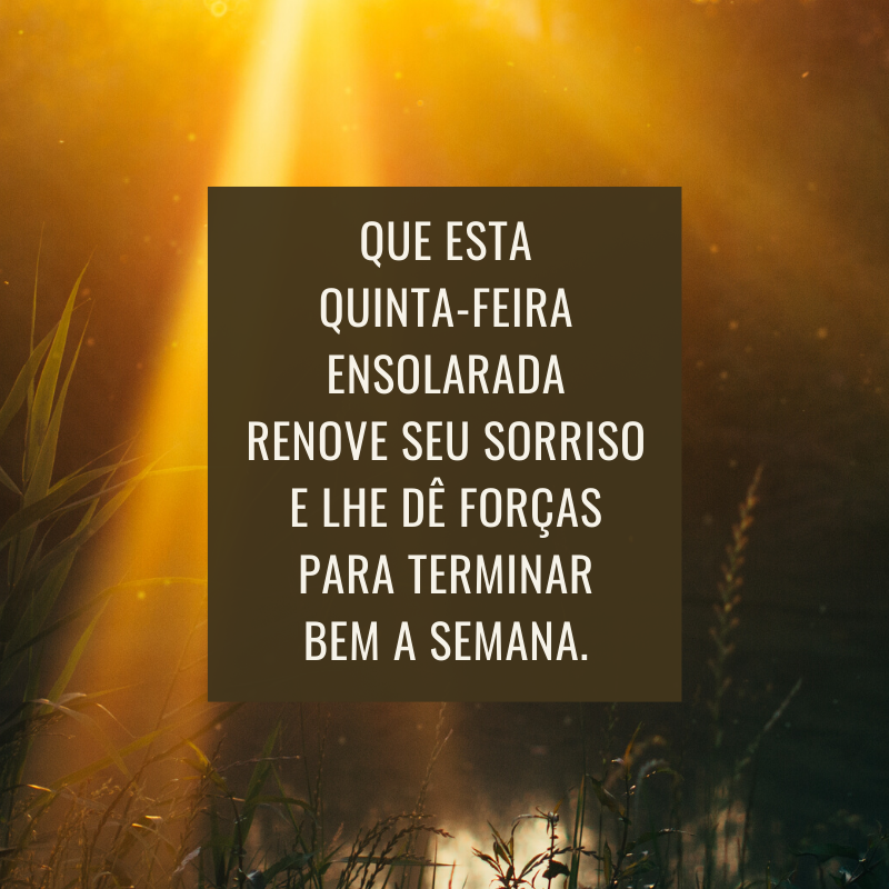 Que esta quinta-feira ensolarada renove seu sorriso e lhe dê forças para terminar bem a semana.