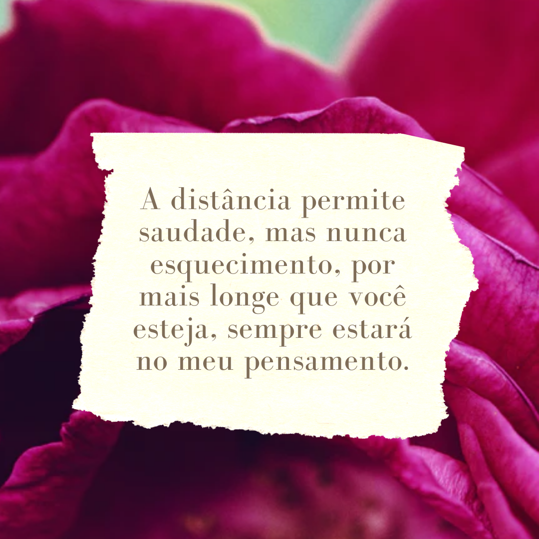 A distância permite saudade, mas nunca esquecimento, por mais longe que você esteja, sempre estará no meu pensamento.