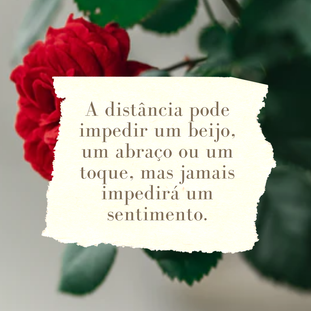 A distância pode impedir um beijo, um abraço ou um toque, mas jamais impedirá um sentimento.