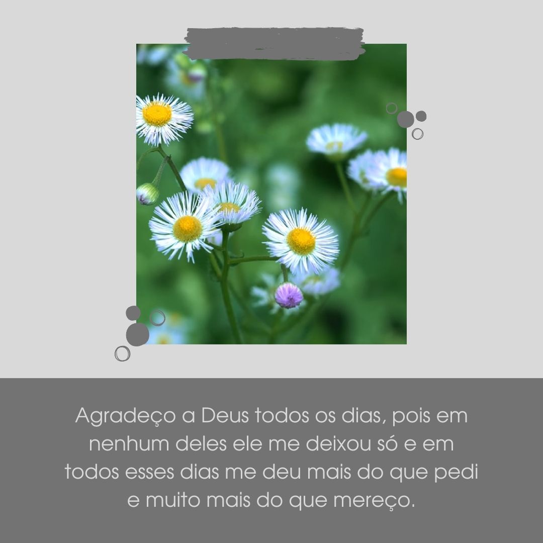 Agradeço a Deus todos os dias, pois em nenhum deles ele me deixou só e em todos esses dias me deu mais do que pedi e muito mais do que mereço.