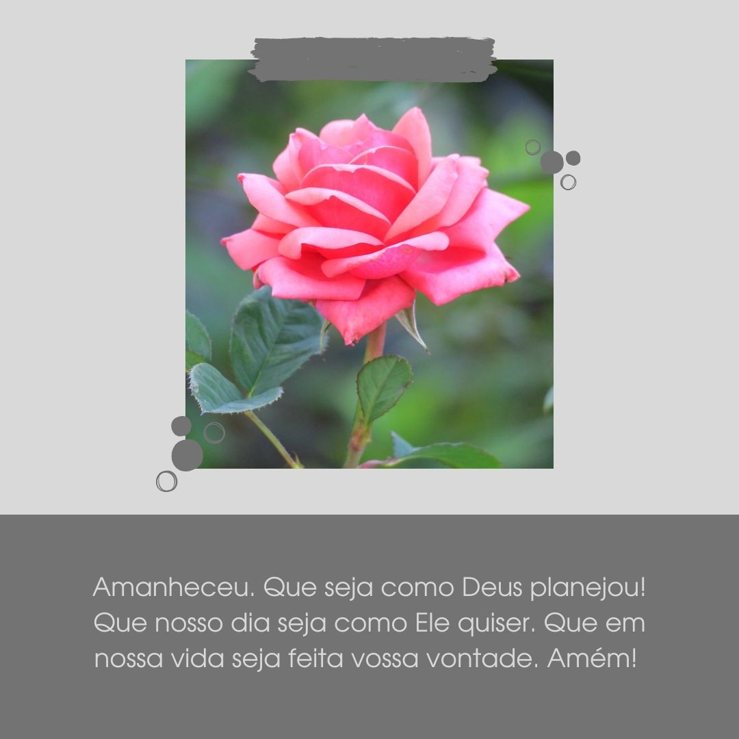 Amanheceu. Que seja como Deus planejou! Que nosso dia seja como Ele quiser. Que em nossa vida seja feita vossa vontade. Amém! 