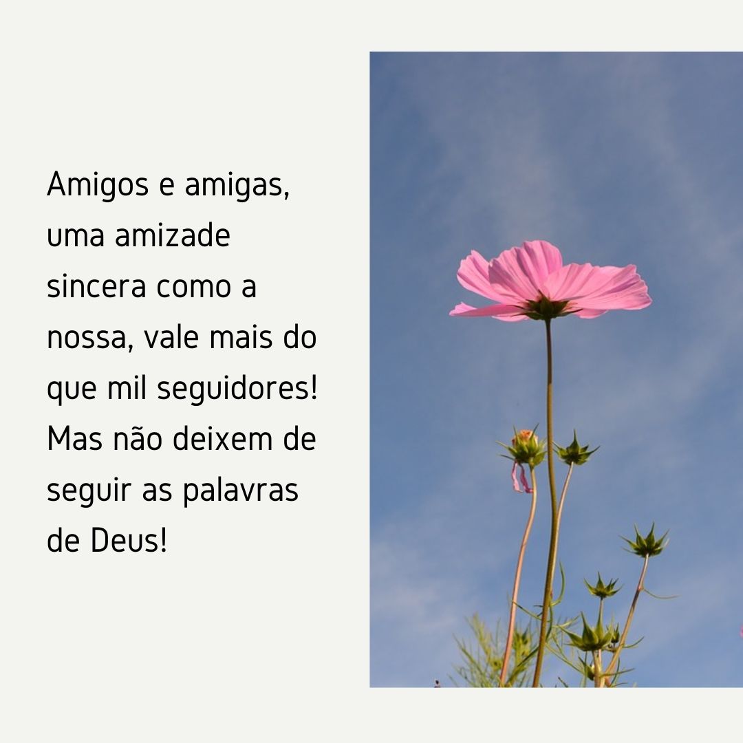 Amigos e amigas, uma amizade sincera como a nossa, vale mais do que mil seguidores! Mas não deixem de seguir as palavras de Deus!