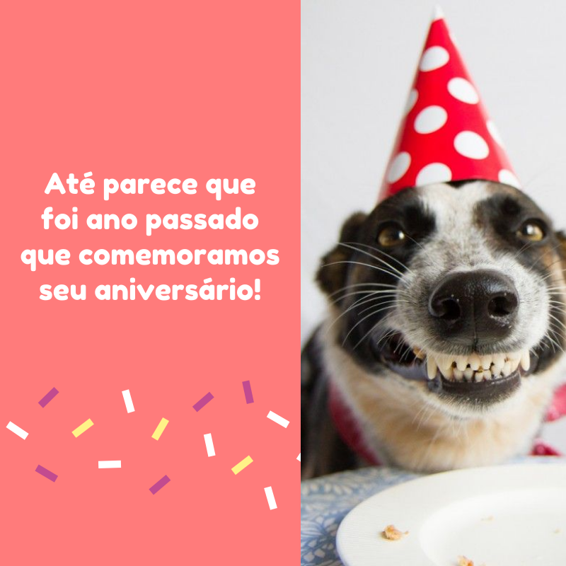 Até parece que foi ano passado que comemoramos seu aniversário!